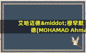 艾哈迈德·穆罕默德(MOHAMAD Ahmad)